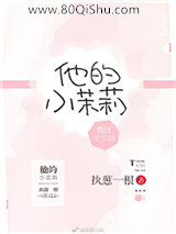 他的小茉莉小说