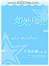 如她所愿小说