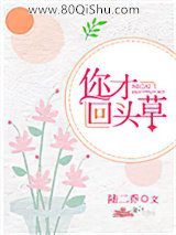 你才回头草小说