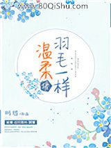 温柔像羽毛一样小说