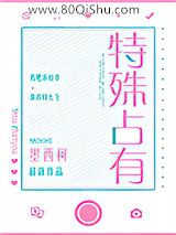 特殊占有小说