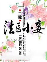 二嫁：法医小妾小说