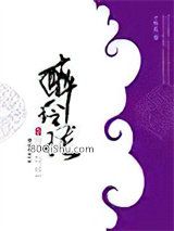 醉玲珑上小说