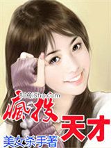 疯投天才小说