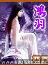 鸿羽小说