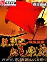 抗战之血色战旗小说