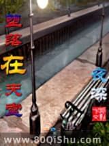 堕落在天堂小说