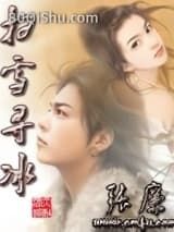 扫雪寻冰小说
