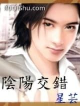 阴阳交错小说