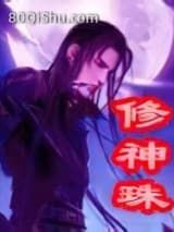 修神珠小说