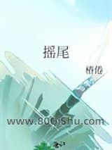 摇尾小说