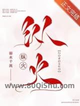 纵火小说