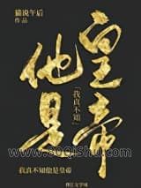 我真不知他是皇帝小说