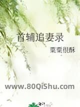 首辅追妻录小说