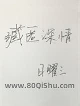 藏匿深情小说