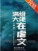 满级大佬在虐文（快穿）小说