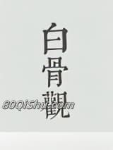 白骨观小说