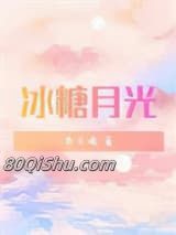 冰糖月光小说
