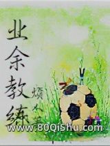 业余教练小说