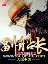 重生海贼王之副船长小说