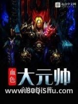 血色大元帅小说