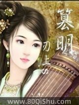 篡明小说