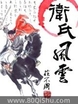 卫氏风云小说