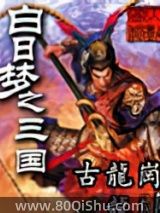 白日梦之三国小说
