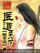医道天下小说