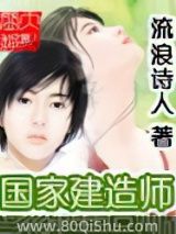 国家建造师小说