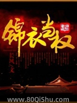锦衣当权 长风 TXT全文 全本连载