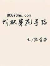 我欲穿花寻路小说