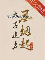 太子追妻风烟起小说