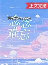 念念难忘小说