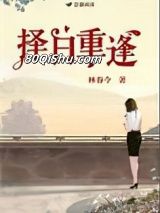 择日重逢小说