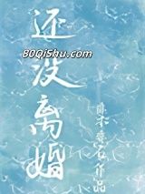 还没离婚小说