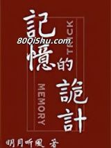 记忆的诡计小说