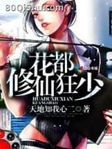 空姐的贴身高手小说