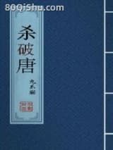 杀破唐小说