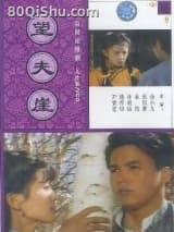 望夫崖 琼瑶 TXT全文 全本连载
