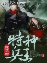 特种兵王在花都小说