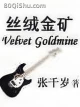 丝绒金矿 张千岁 TXT全文 全本连载