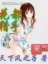 花都猎手 天下风之子 TXT全文 全本连载