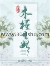 重生之木槿王妃小说