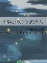 和离后成了反派夫人小说