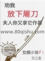劝我放下屠刀，夫人你又拿它作甚小说