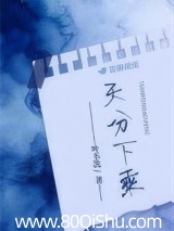 天分下乘 叶不洗 TXT全文 全本连载