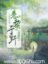 悬黎于野(双重生) 不借春 TXT全文 全本连载