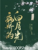 病娇的白月光 第一只喵 TXT全文 全本连载