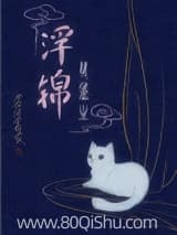 浮锦(双重生) 落日蔷薇 TXT全文 全本连载